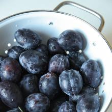 Damson compote