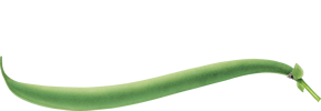 tibits